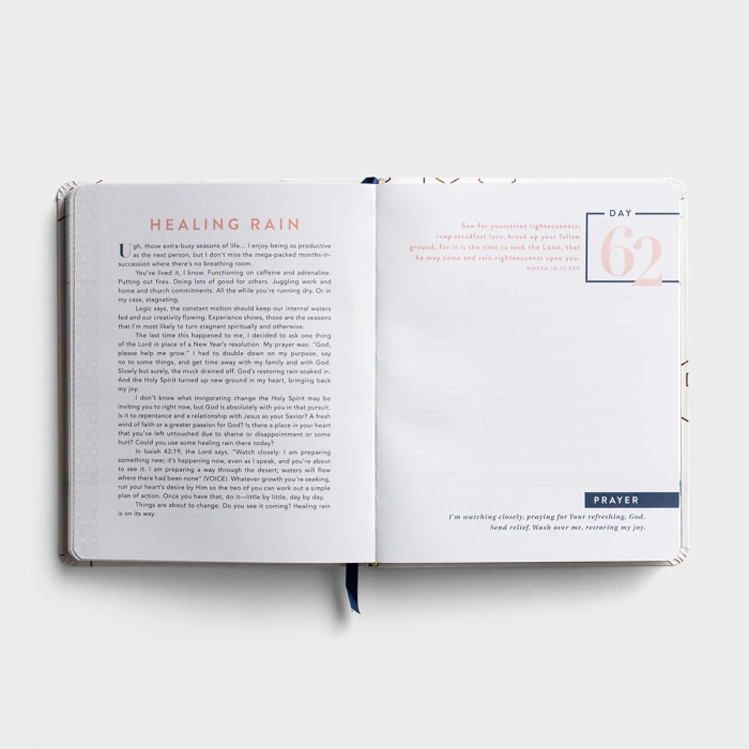 100 Days of Joy and Strength - A Devotional Journal-Candace Cameron BureJ2097 - Image 3