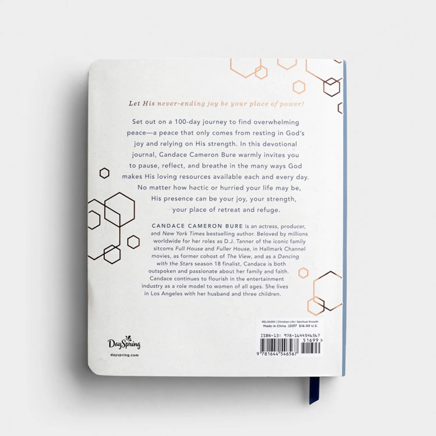 100 Days of Joy and Strength - A Devotional Journal-Candace Cameron BureJ2097 - Image 4