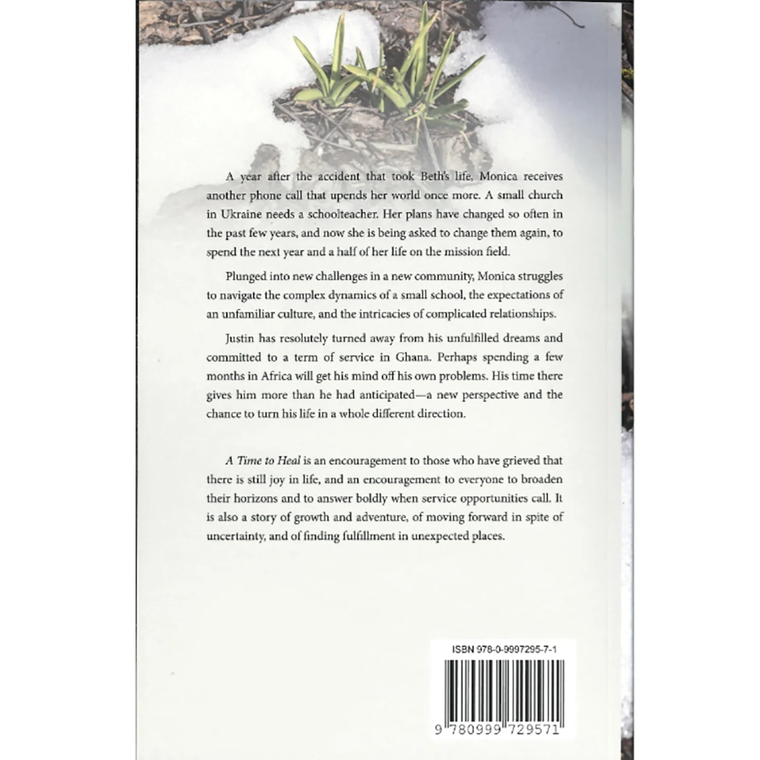 A Time to Heal Book by Emily Steiner - Image 2