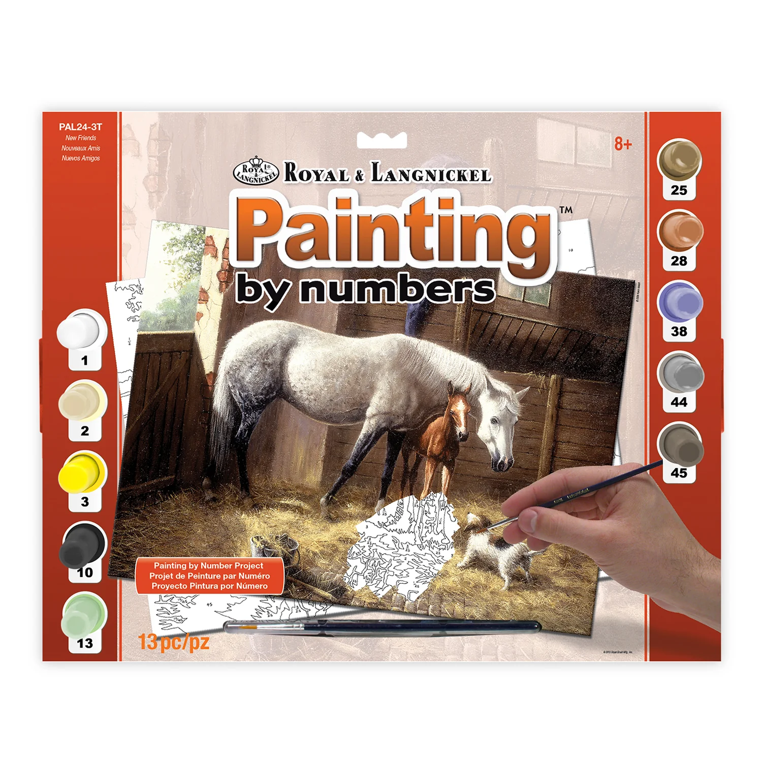 Paint By Numbers New Friends PAL24
