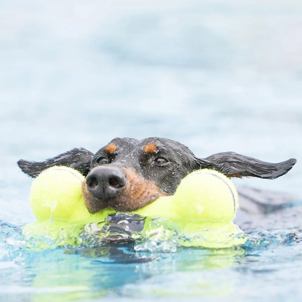 Airdog Squeaker Bone ASB - Image 2