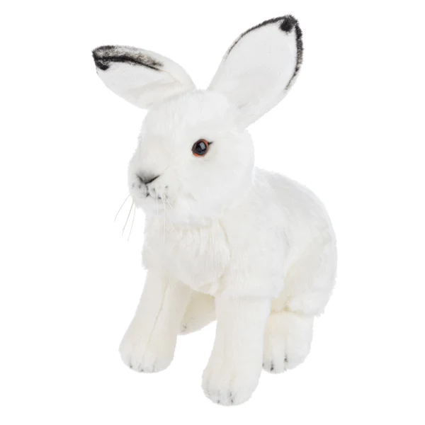 Arctic Snow Hare HX11835