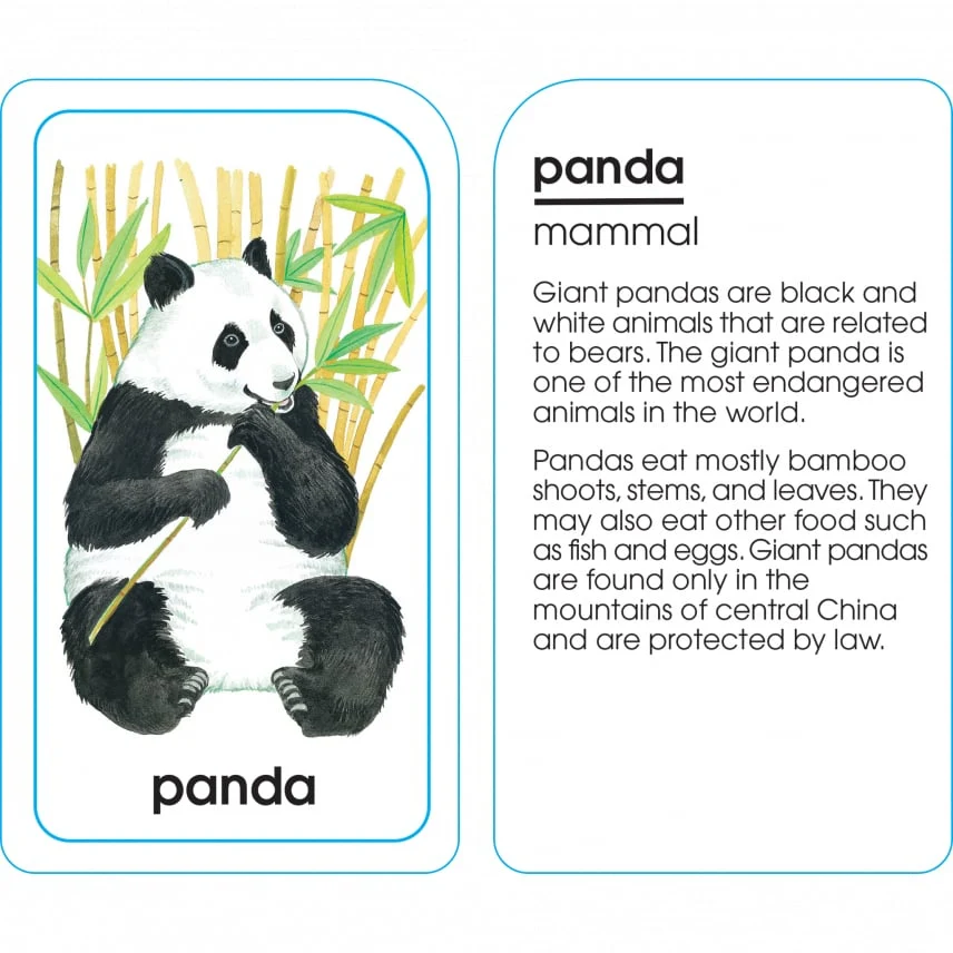 Assorted Animals Flash Cards 04012 - Image 3