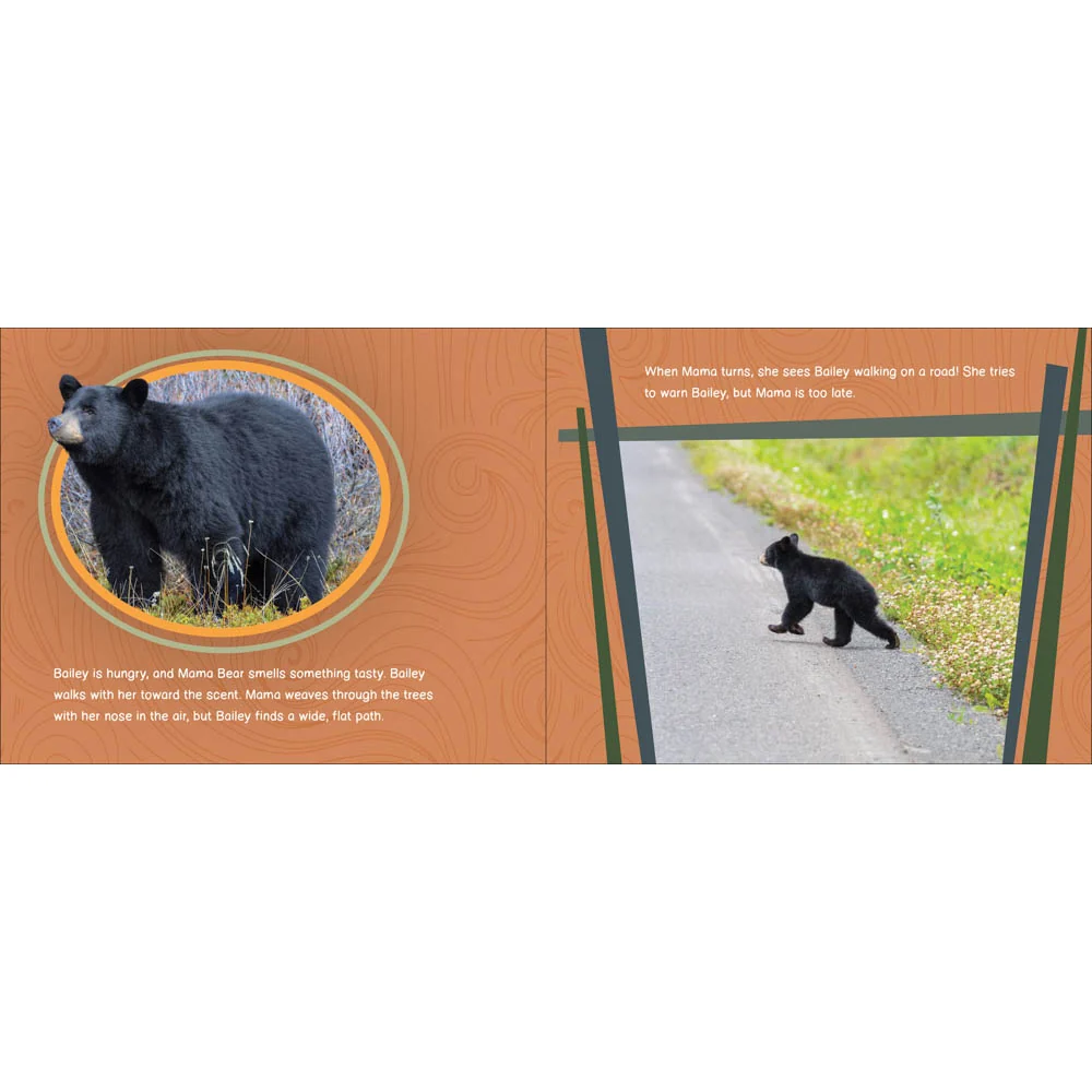 Bailey the Bear Needs Help! 53449 - Image 2