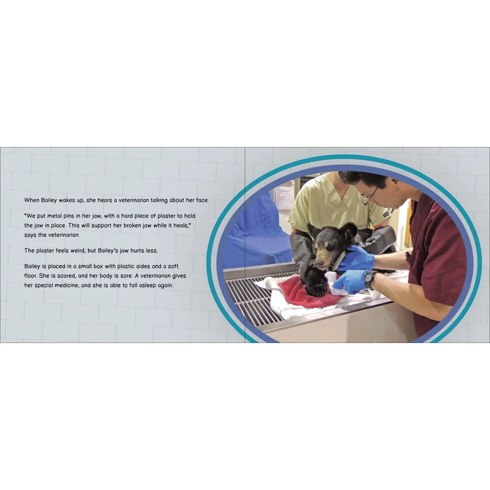 Bailey the Bear Needs Help! 53449 - Image 3