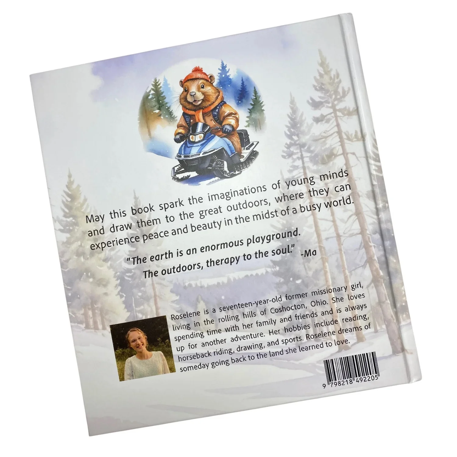 Beaver Family Adventures by Roselene Yoder - Image 2