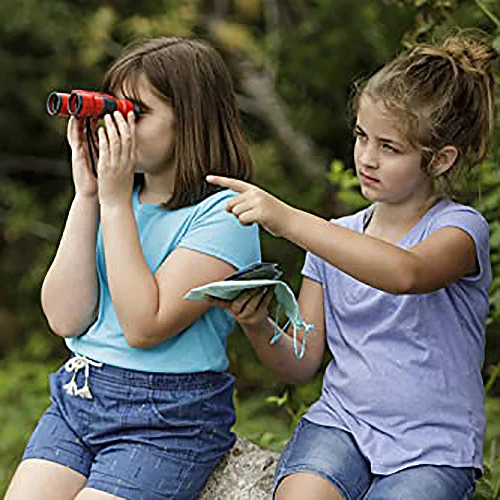 Beetle & Bee Little Birder Kit 60055 - Image 4
