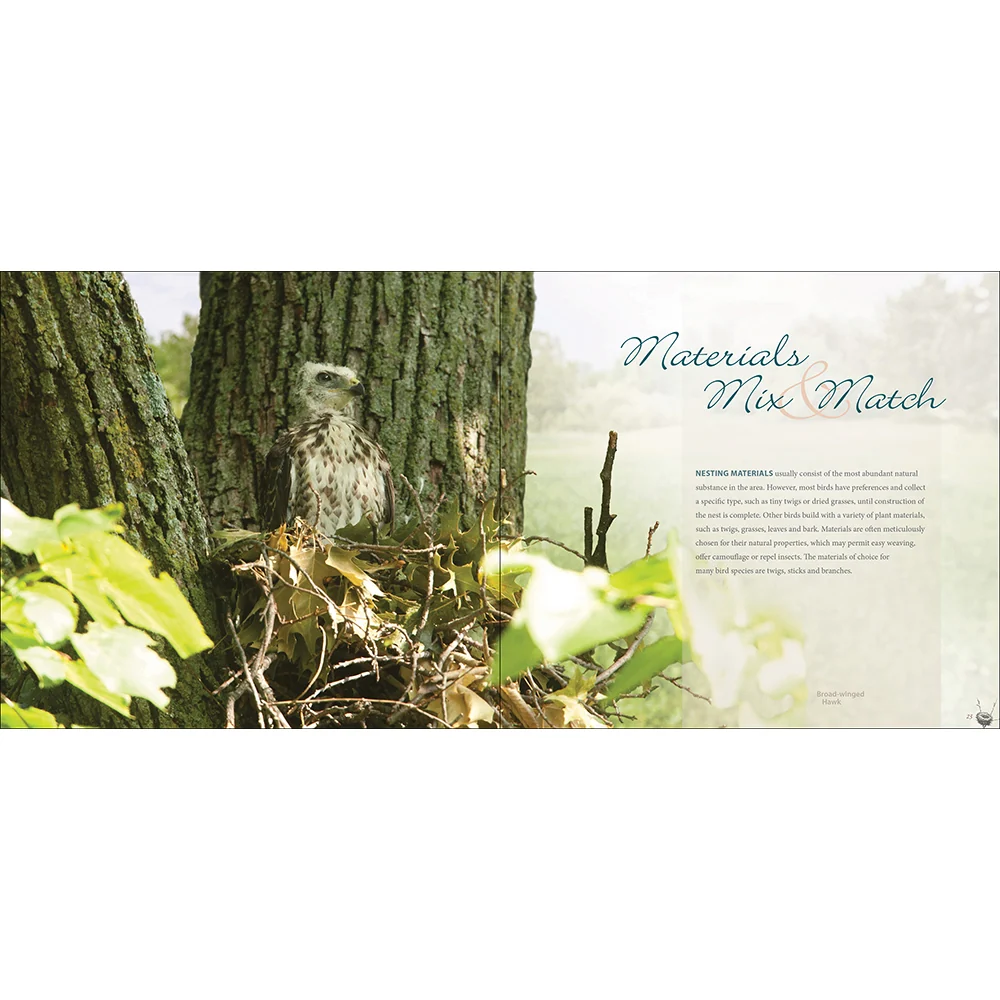Bird Nests 9781591934684 - Image 2