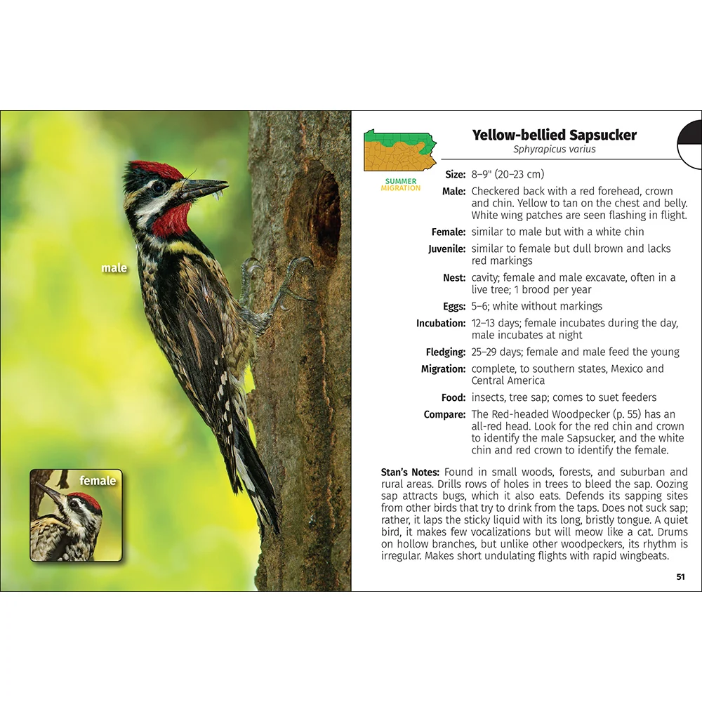 Birds of Pennsylvania Field Guide 50882 - Image 4