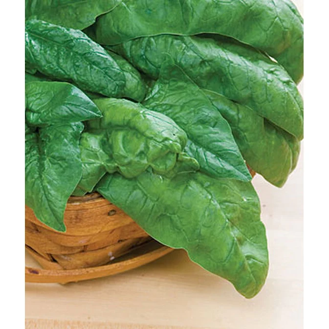 Bloomsdale Long Standing Spinach Seed Pack 64642