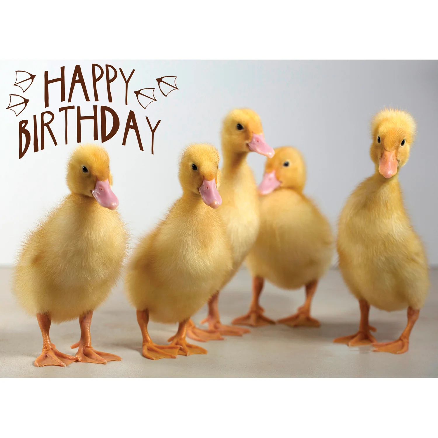 Boxed Cards Birthday Assortment SBEG22291 - Image 4