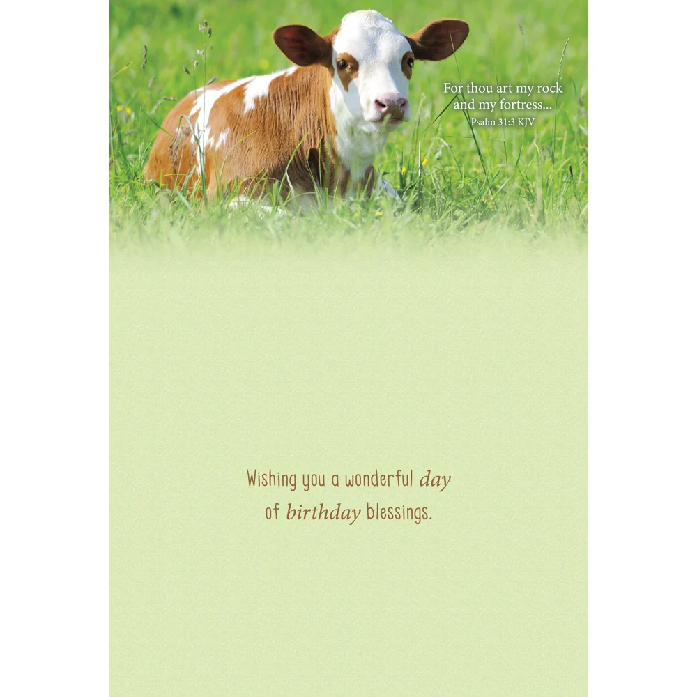 Boxed Cards Birthday Baby Farm Animals KJV Scriptures 12 Cards 4 Designs - Image 7