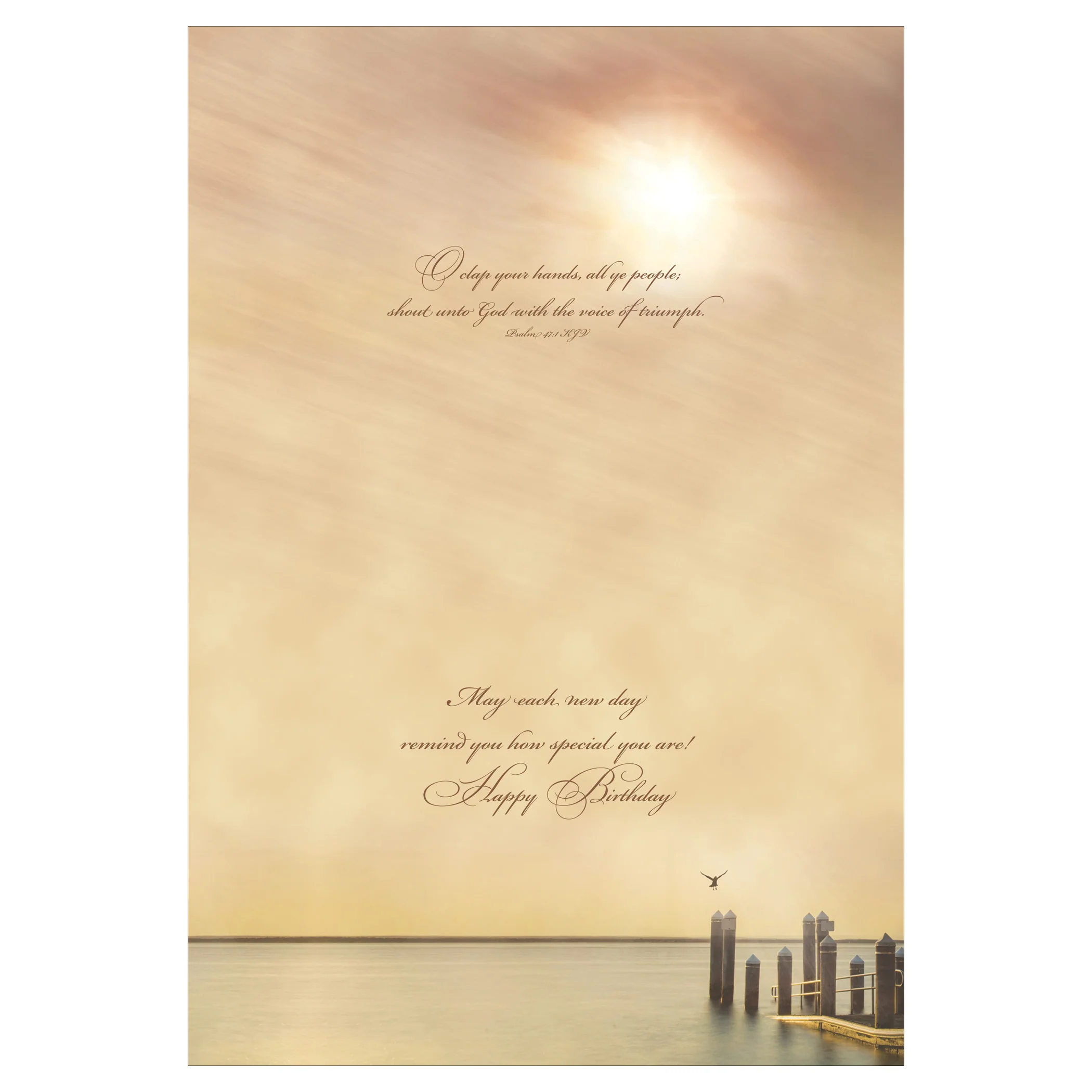 Boxed Cards Birthday Landscape Cards SBEG22113 - Image 9