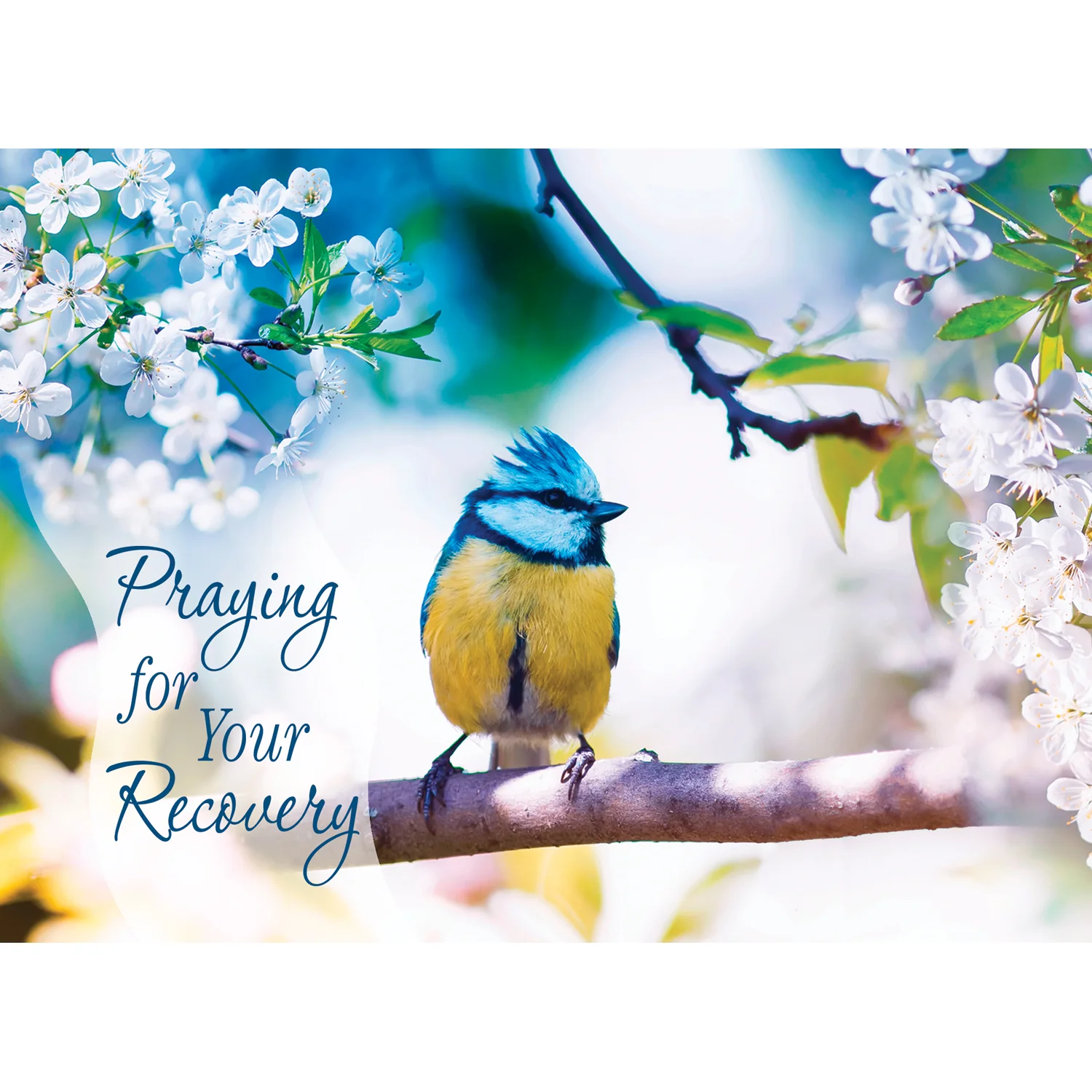 Boxed Cards Get Well Assortment SBEG22285 - Image 9