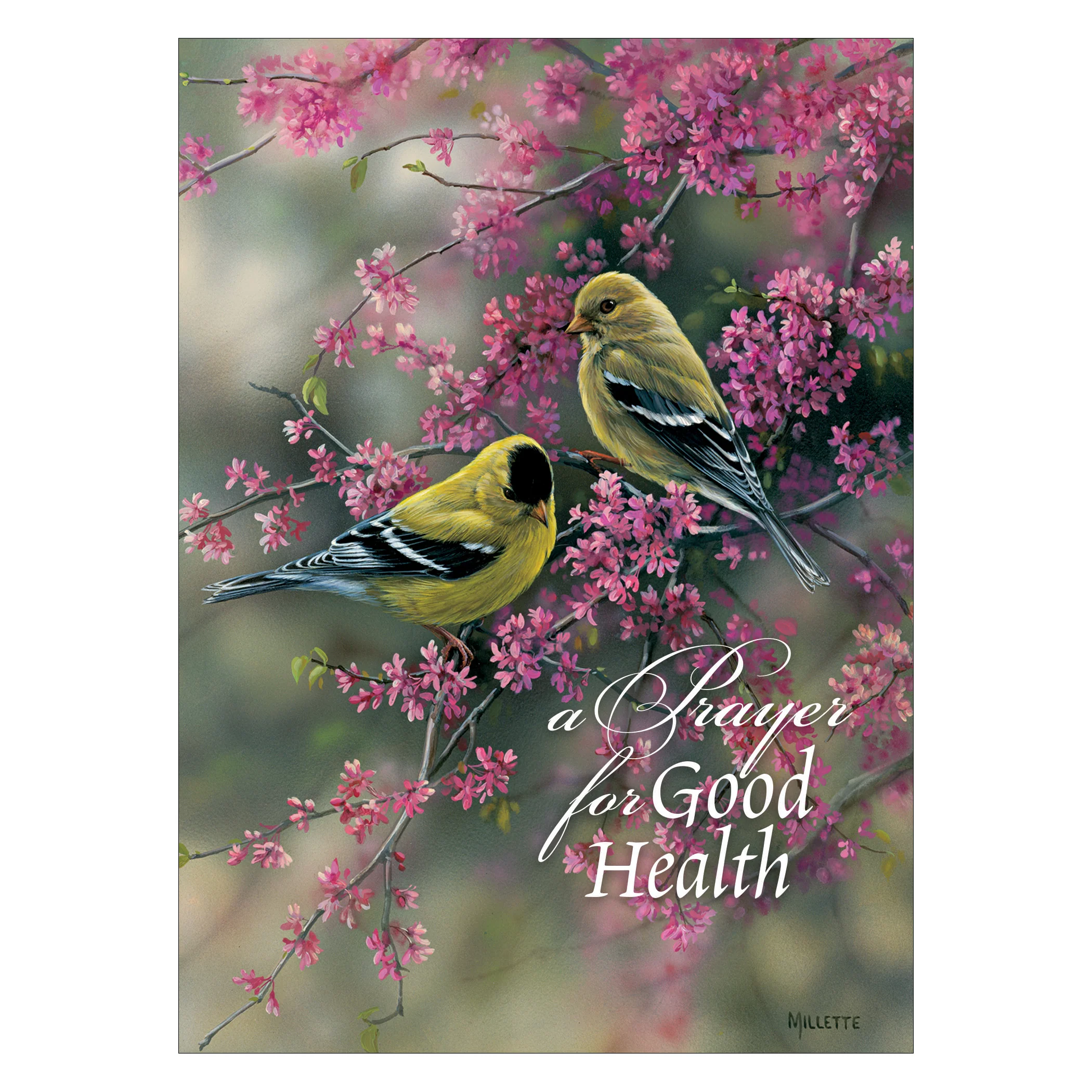 Boxed Cards Get Well Cards SBEG22116 - Image 4