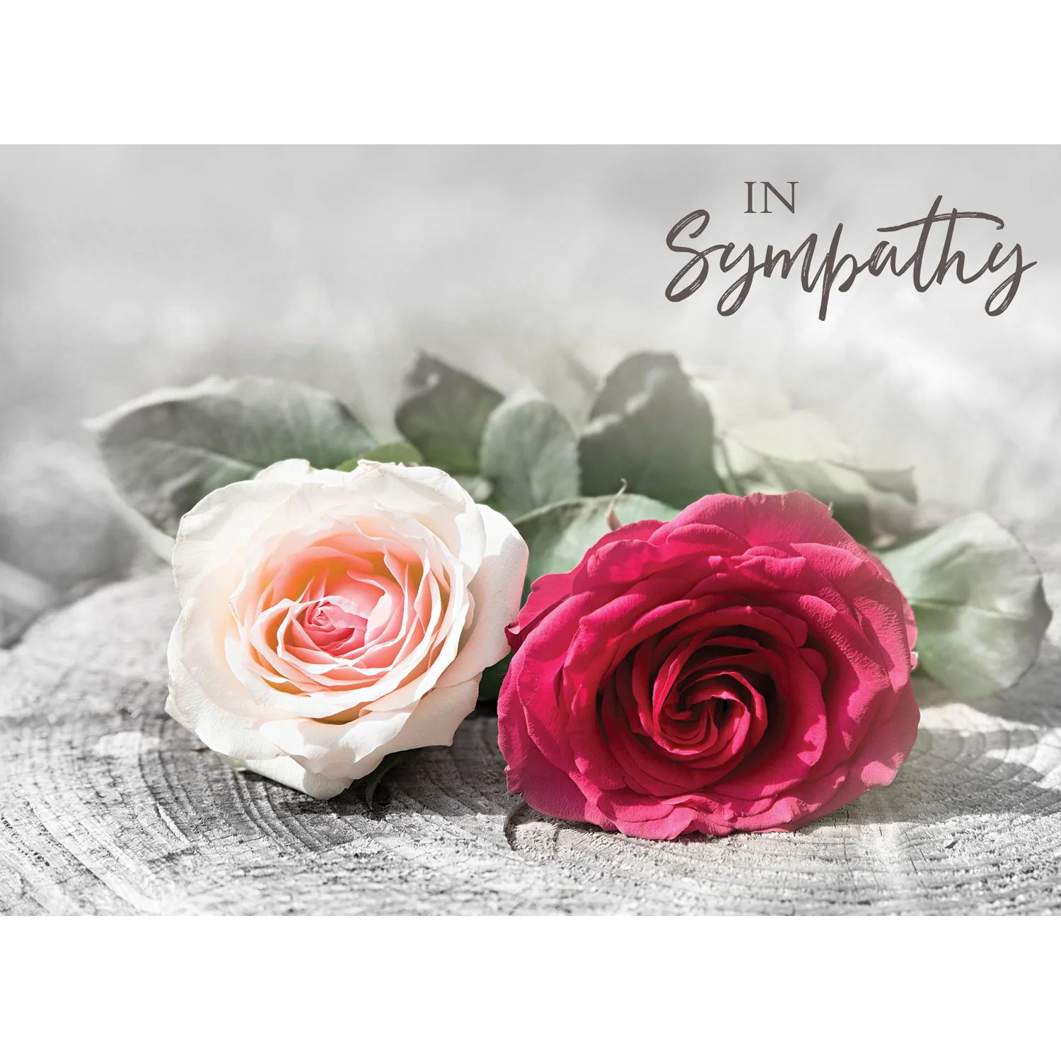 Boxed Cards Sympathy Assortment SBEG22283 - Image 8
