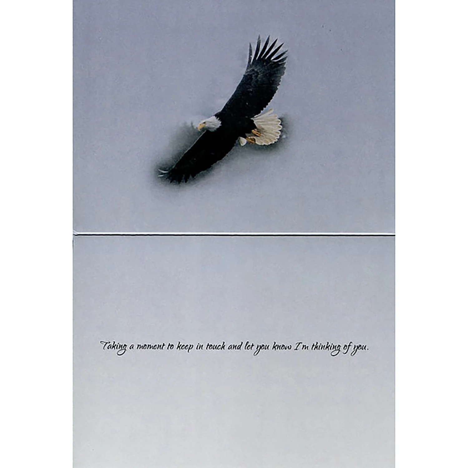 Boxed Cards Thinking Of You Scripture FT22435 - Image 5