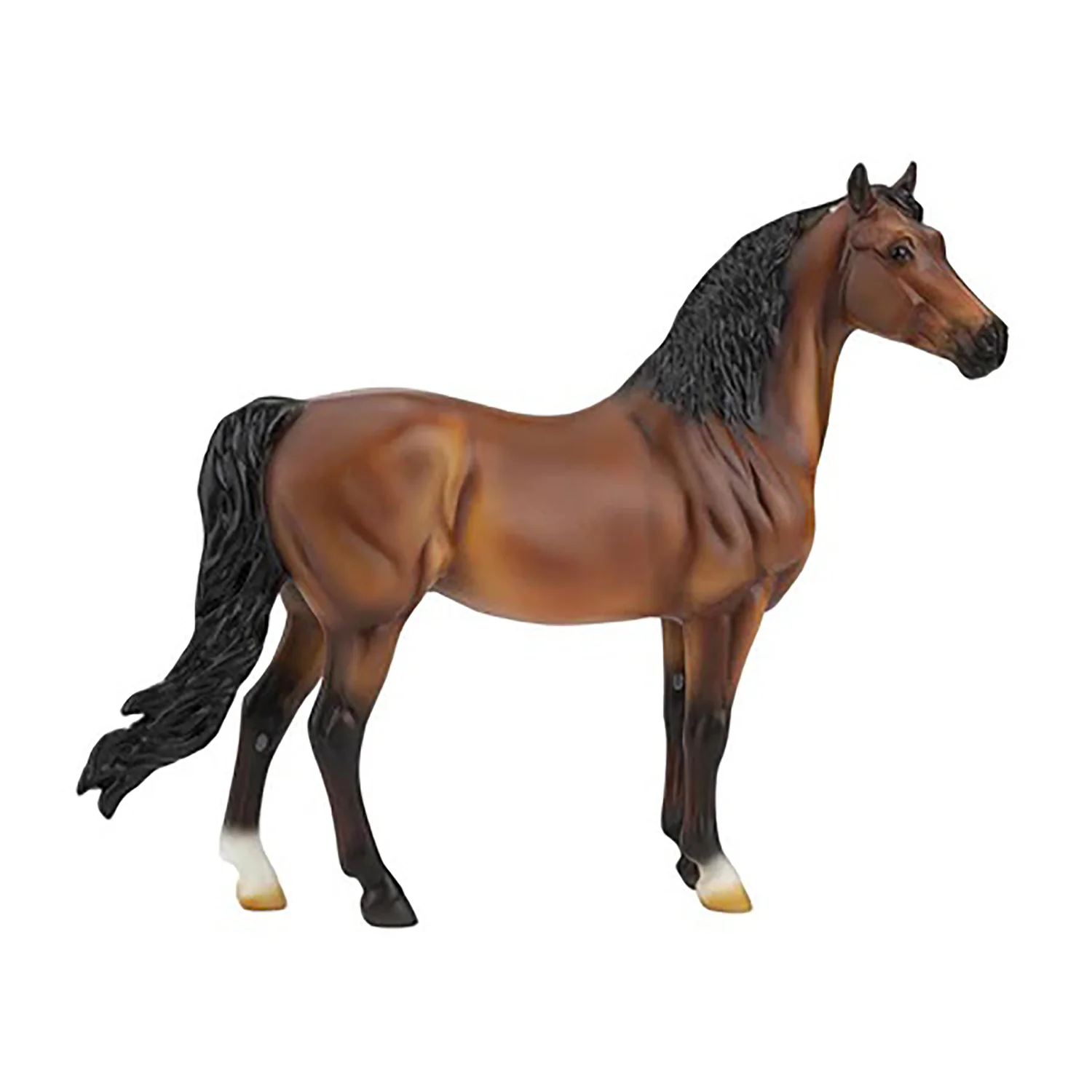 Bright Bay Morgan Horse 964 - Image 3