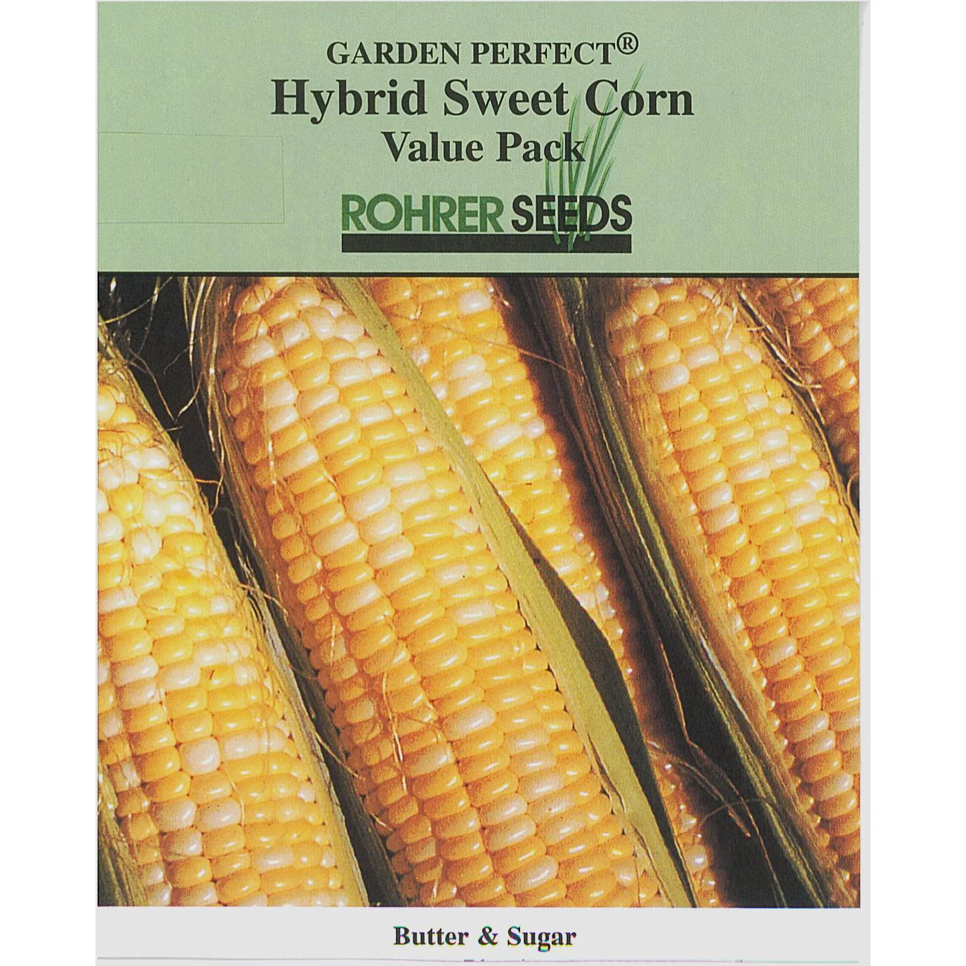 Butter & Sugar Sweet Corn 9921502