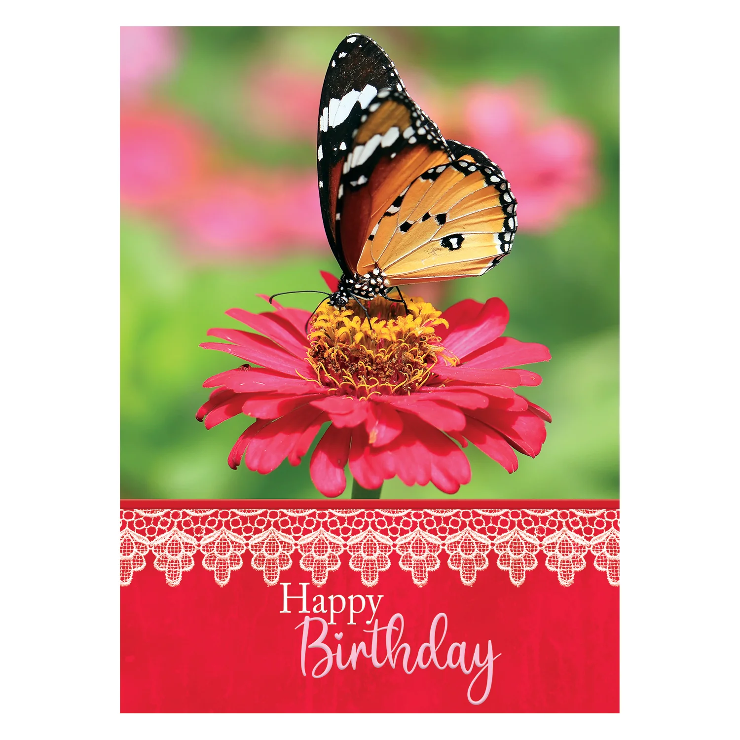 Butterflies Birthday Boxed Cards FT22582 - Image 6