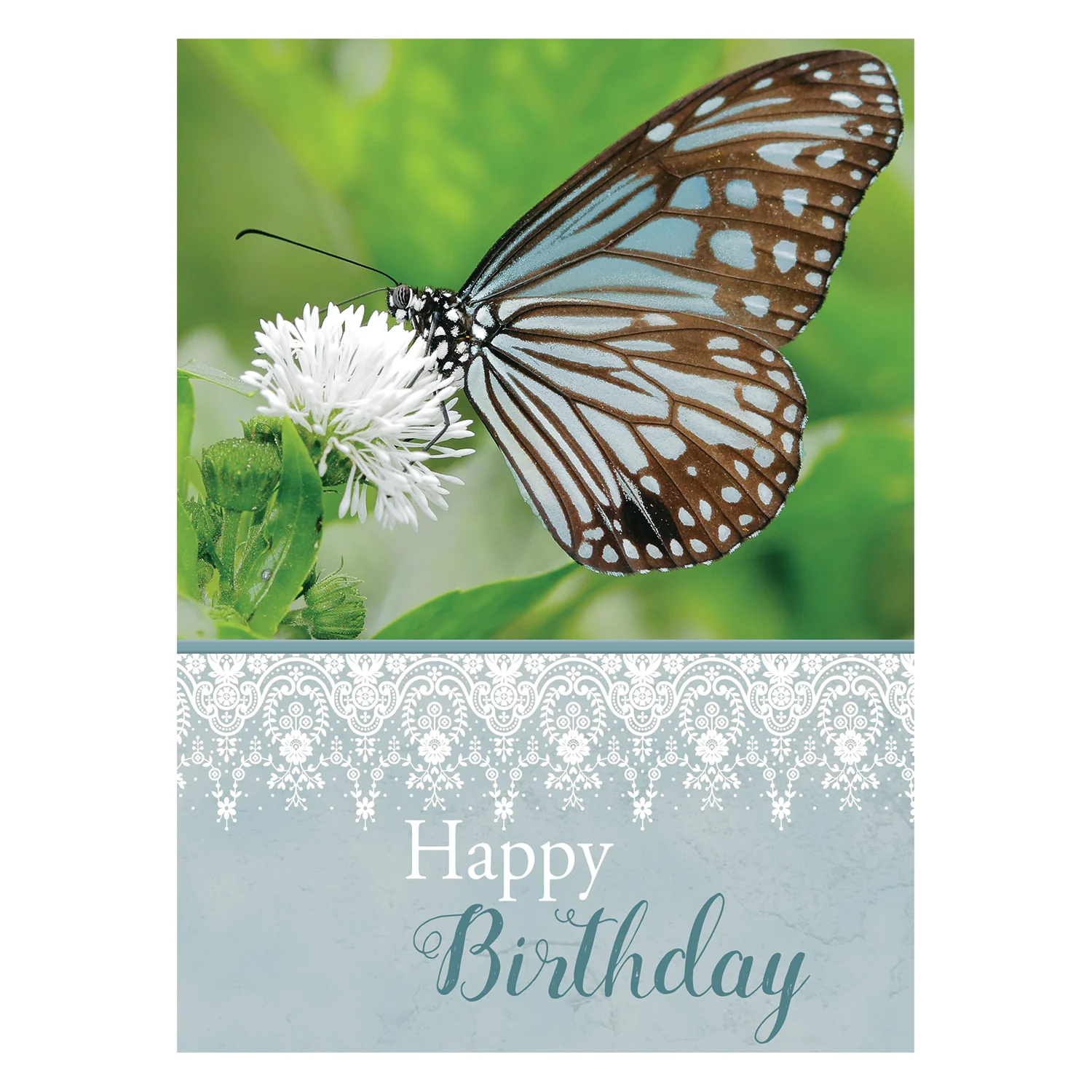 Butterflies Birthday Boxed Cards FT22582 - Image 8