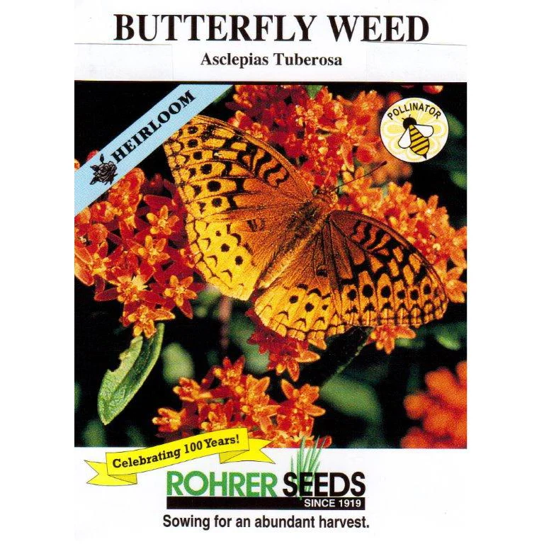 Butterfly Milkweed Seeds 9934850 - Image 2