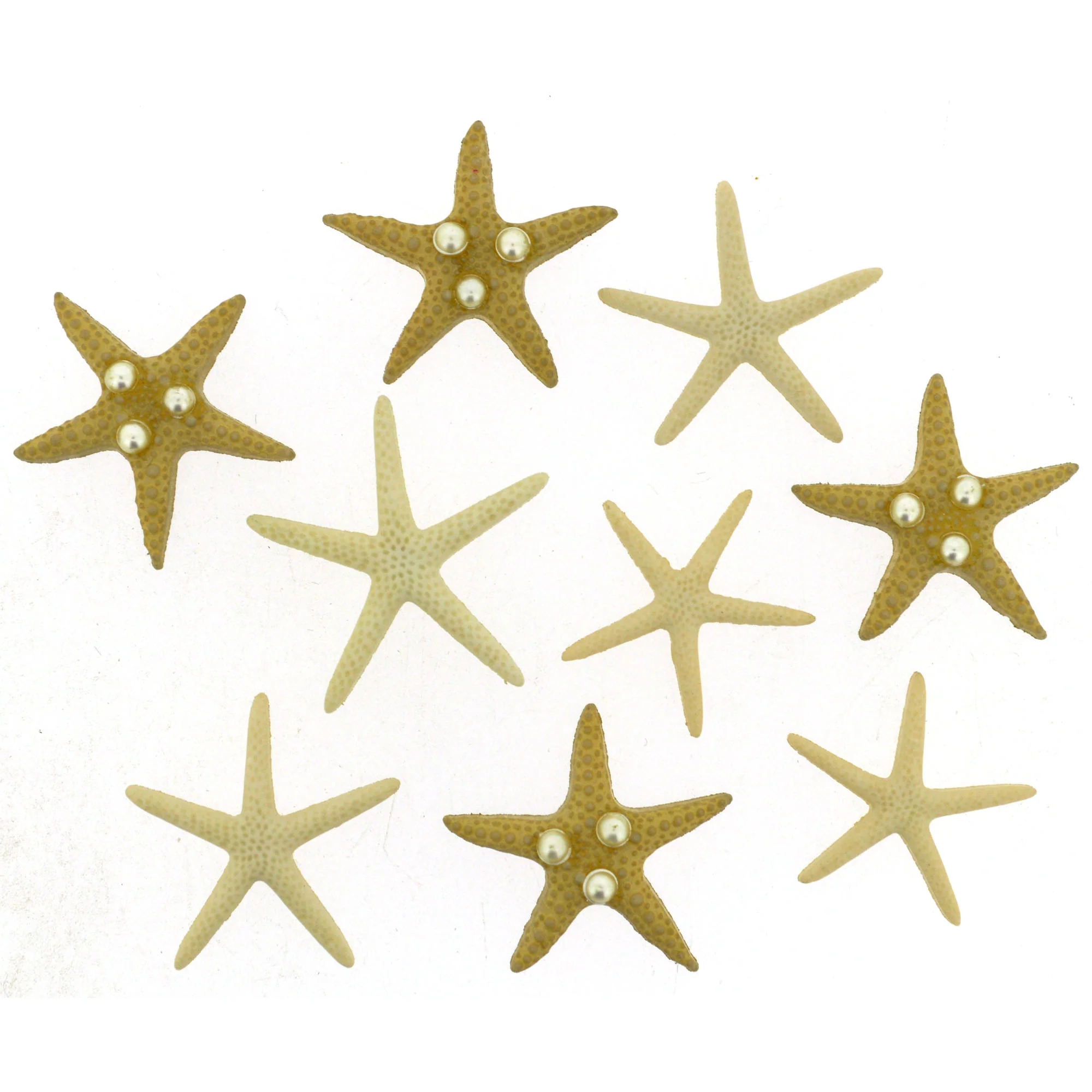 Buttons Starfish Wishes 9365