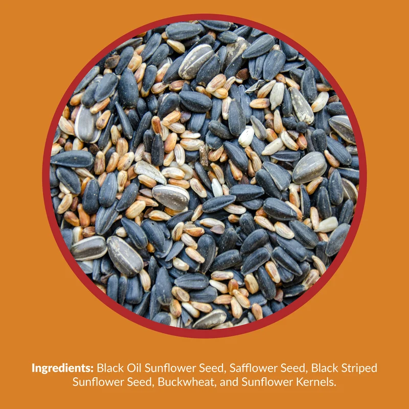 Cardinal Sunflower & Safflower Wild Bird Seed 26-19065 - Image 3
