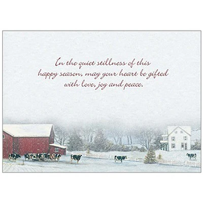 Cardinal Visitors Christmas Boxed Cards HBX69224 - Image 2