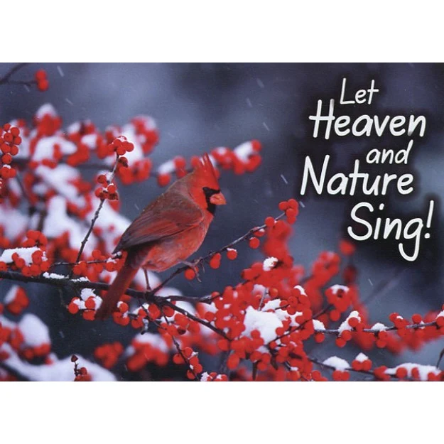 Cardinals Christmas Boxed Cards FT22446 - Image 2