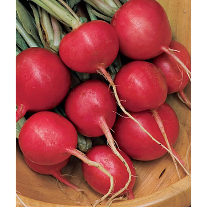 Cherry Belle Radish Seed Pack 64592
