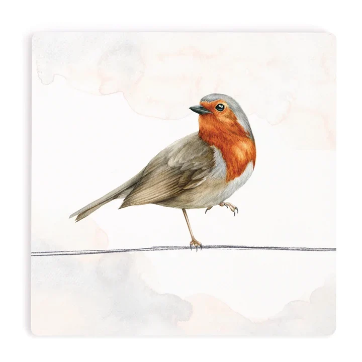 Bird Coasters COA20 - Image 5