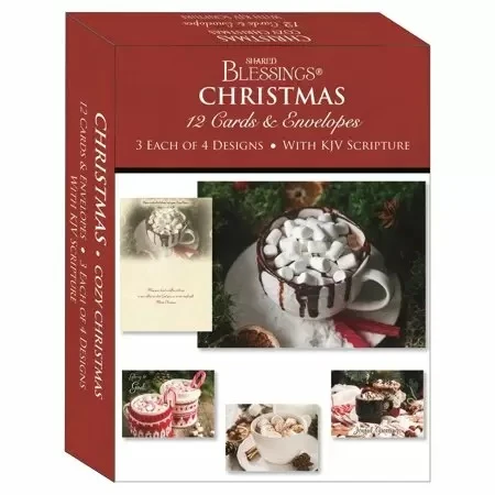 Cozy Christmas Boxed Cards SBCA22561