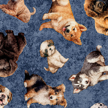 Cuties II Collection Cotton Fabric 314 - Image 4