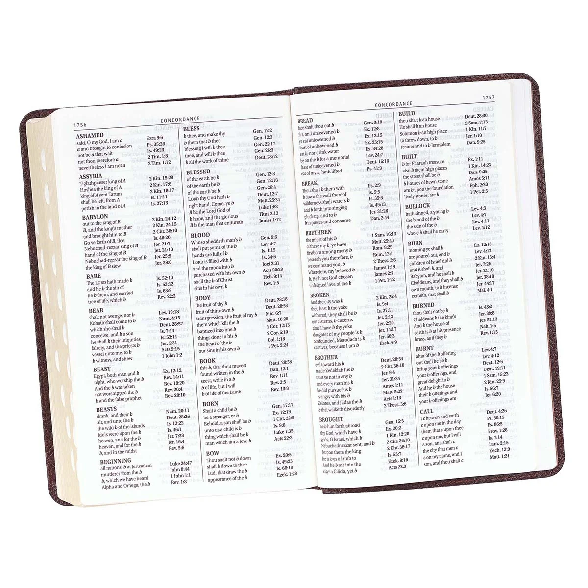 Dark Brown Giant Print KJV Bible with Thumb Index KJV075 - Image 8
