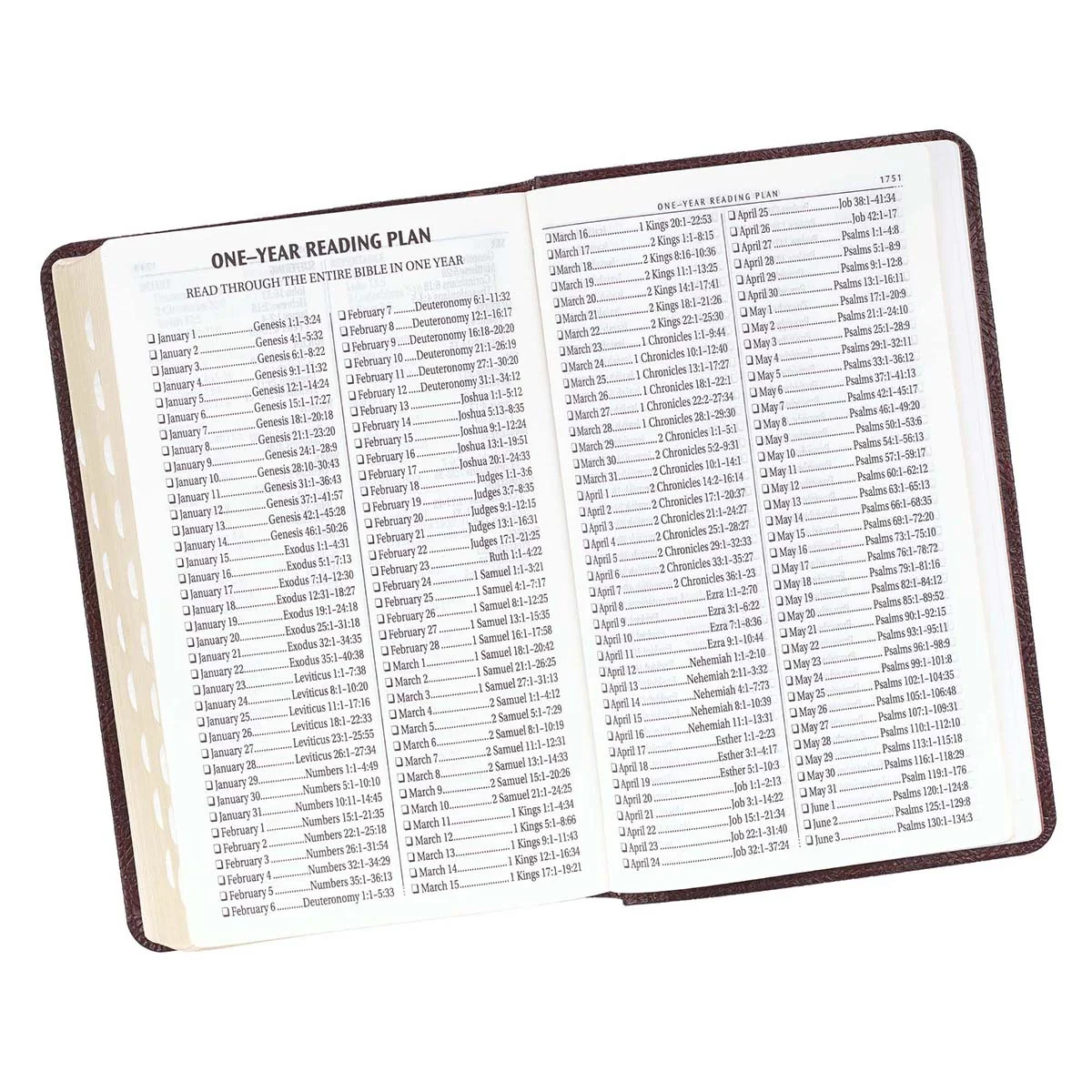 Dark Brown Giant Print KJV Bible with Thumb Index KJV075 - Image 9