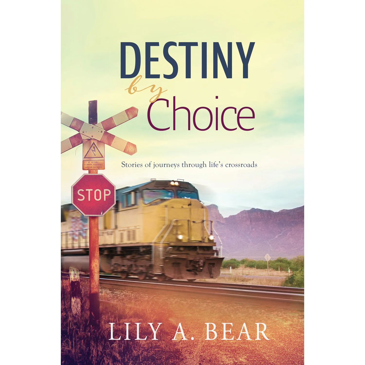 Destiny by Choice Book by Lily A. Bear 9781949648942