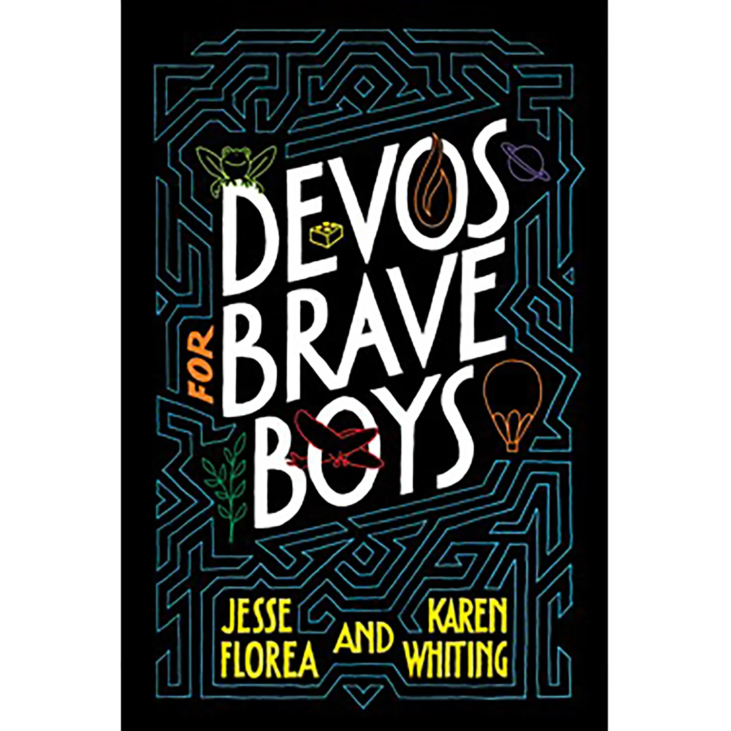 Devos for Brave Boys 9781496451163
