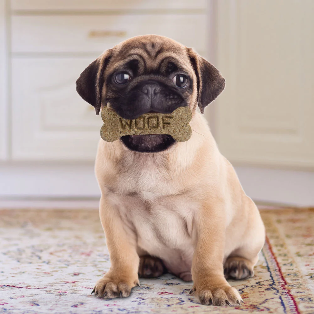 Dog Bone Cookie Cutter - Image 4