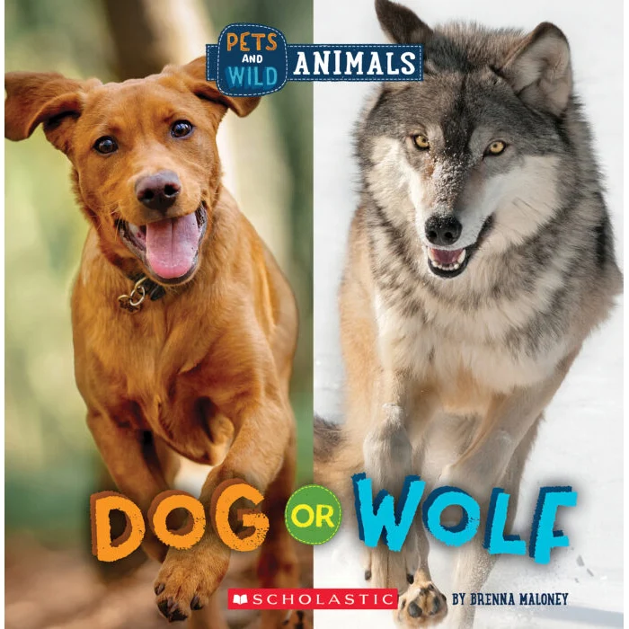 Dog or Wolf 9781338899818