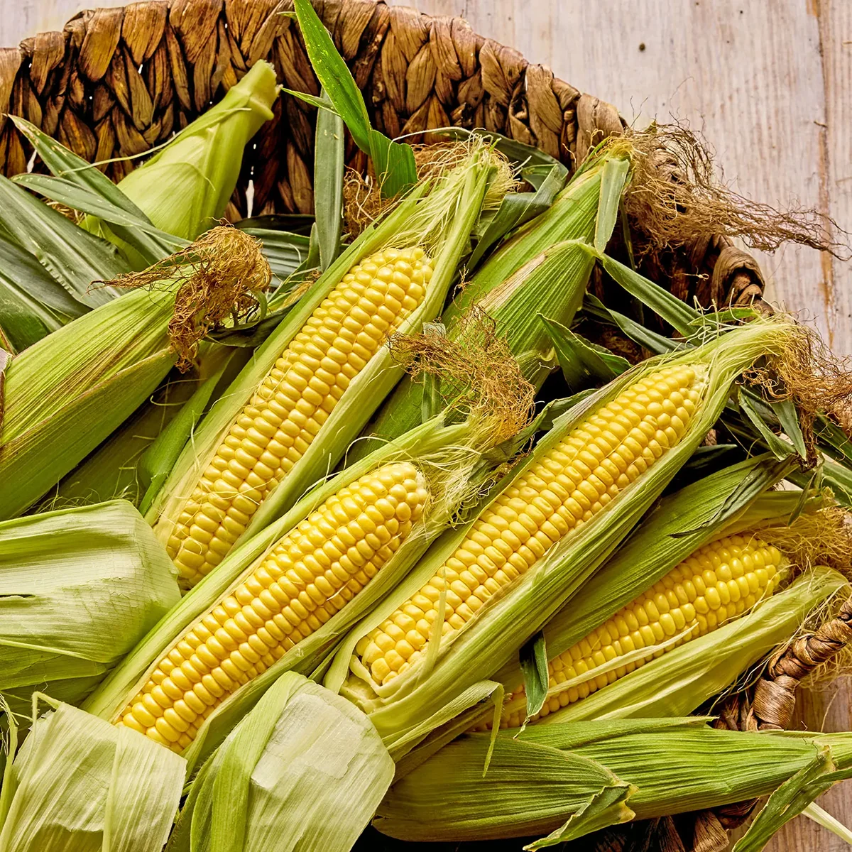 Early Sunglow Corn Seed Pack 65683