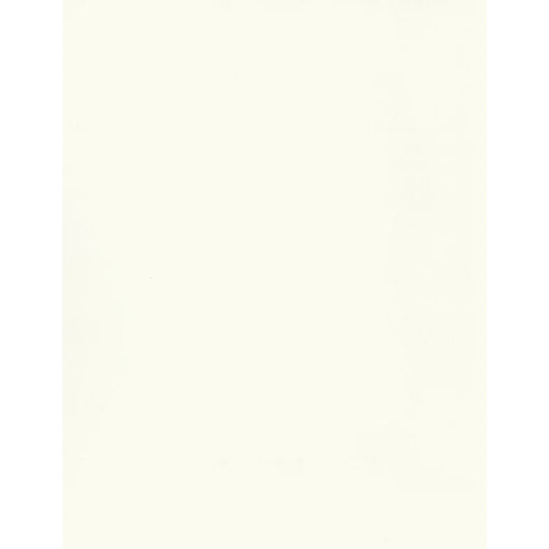 Essentials Solid Cotton Fabric 1359 - Image 4