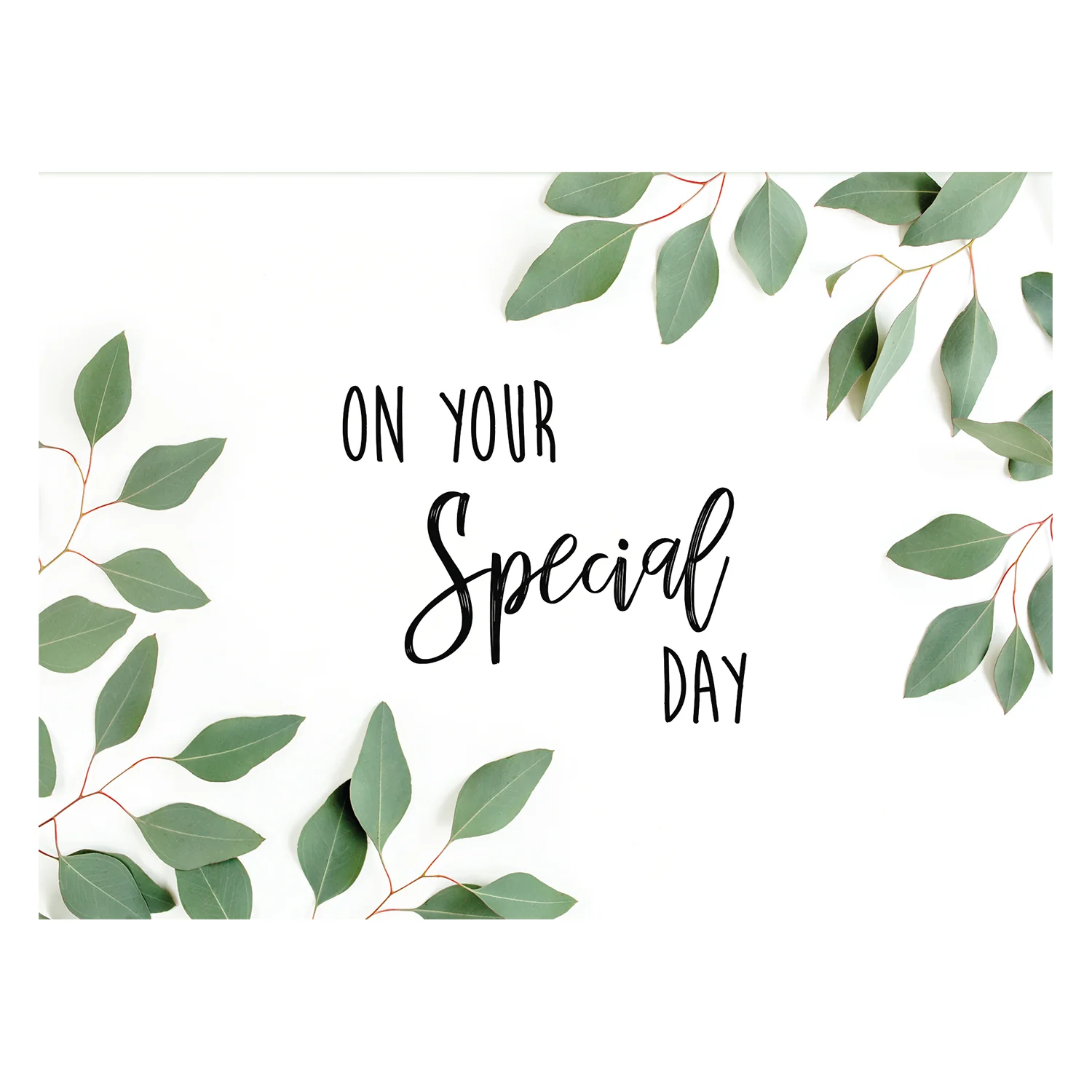 Eucalyptus Birthday Boxed Cards FT22693 - Image 2