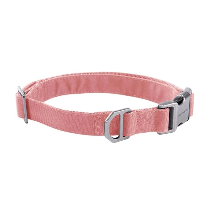Field Dog Collar - Image 4