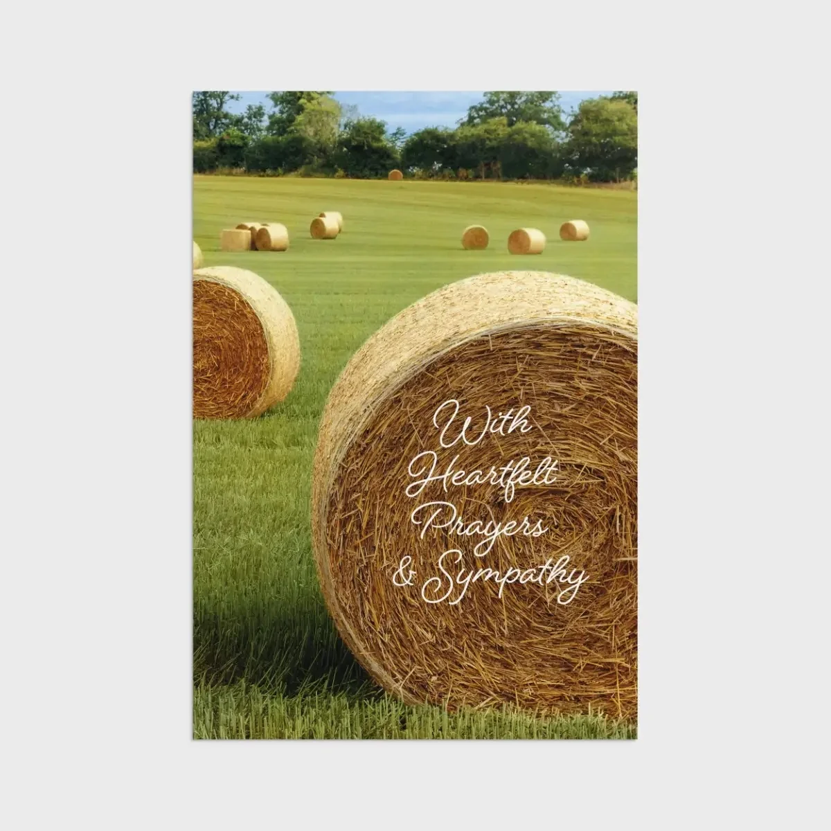Fields of Comfort Sympathy Boxed Cards U1612 - Image 8