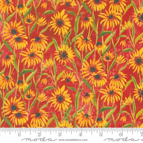 Floribunda Collection Blackeyed Suzie Q Cotton Fabric 39805 - Image 2
