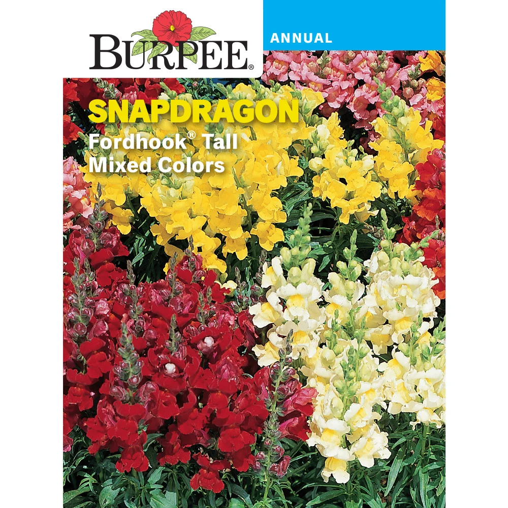 Fordhook Snapdragon Flower Seed Pack 41402