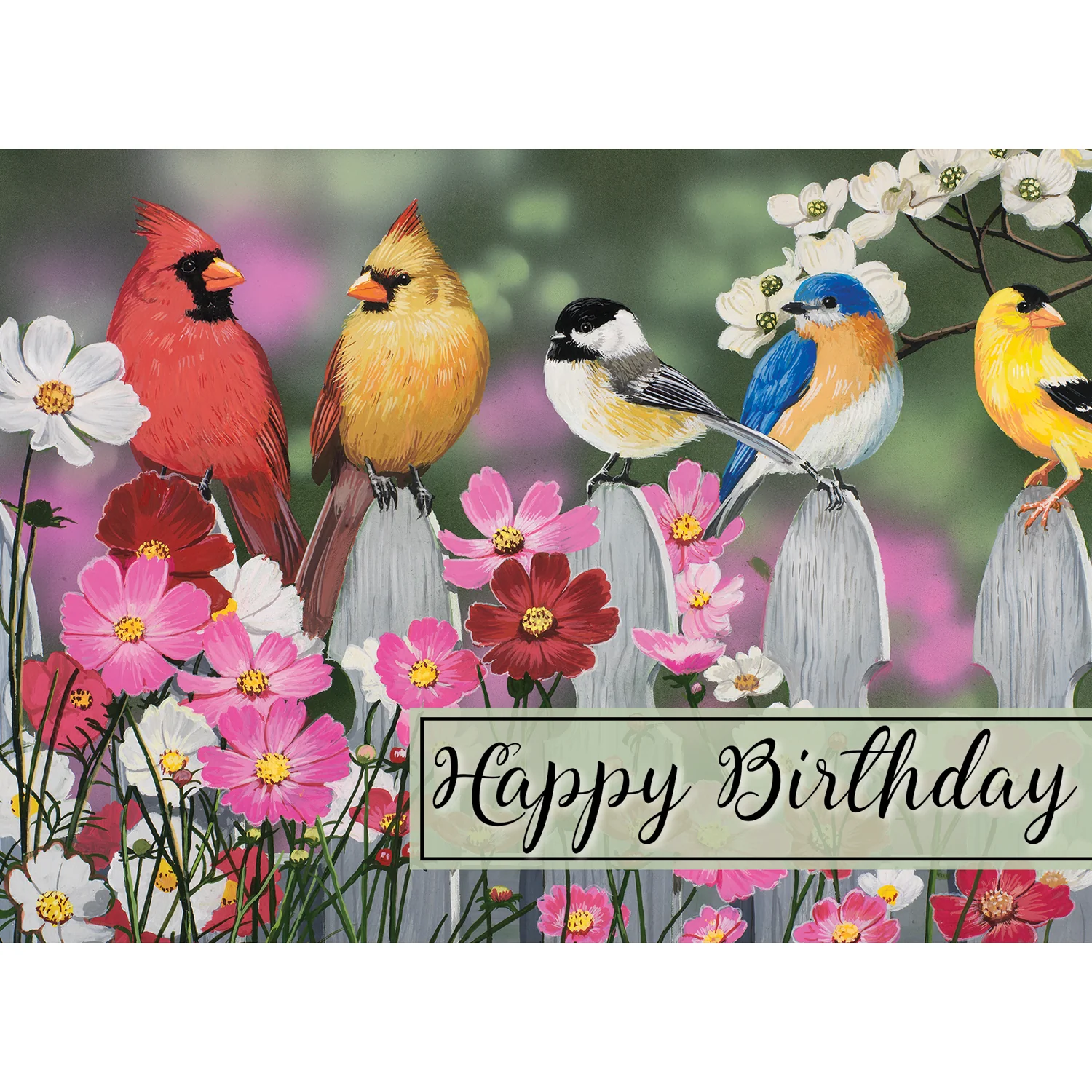 Garden Fence Birthday Boxed Cards SBEG22184 - Image 2