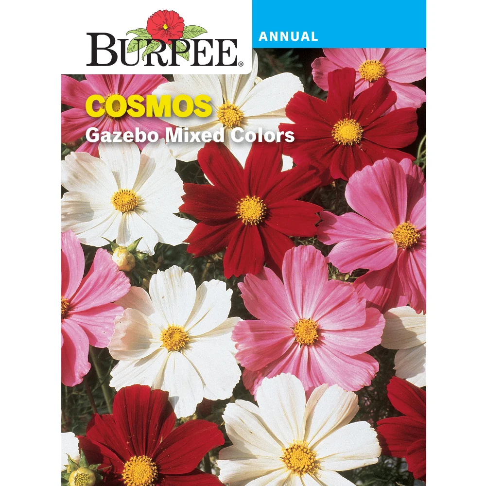 Gazebo Cosmos Flower Seed Pack 47210