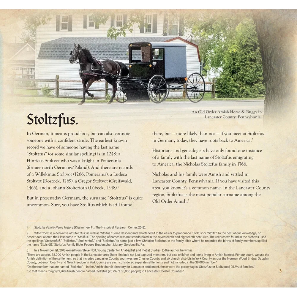 German Lutherans To Pennsylvania Amish The Stoltzfus Family Story Book by Nic Stoltzfus 9781601266408 - Image 4
